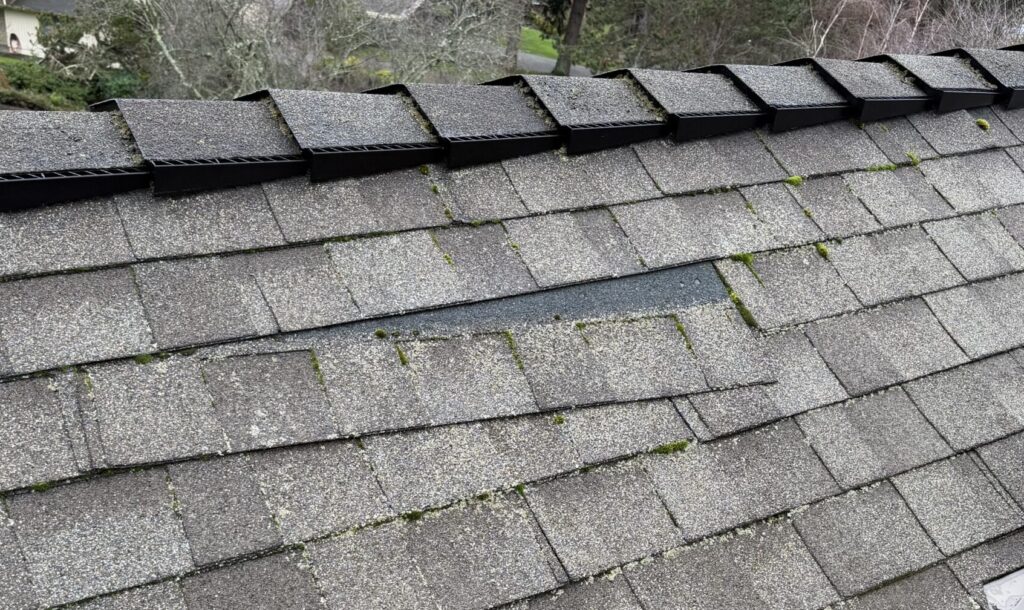 roofing in need of repair