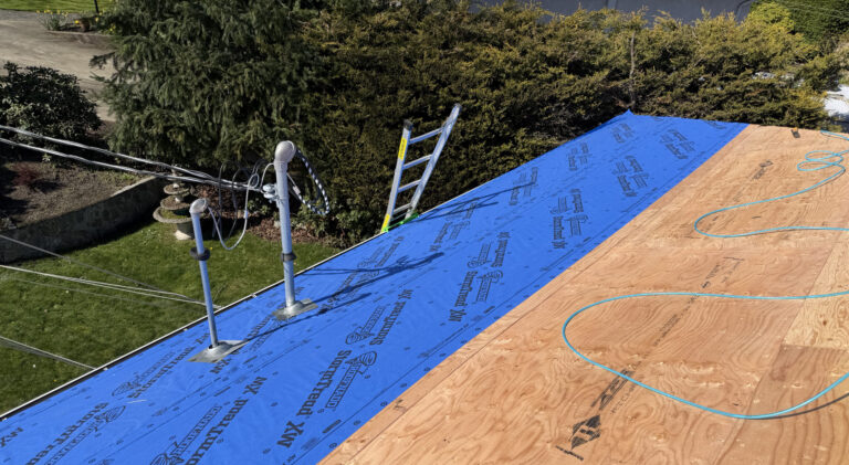 roof repair with ladder